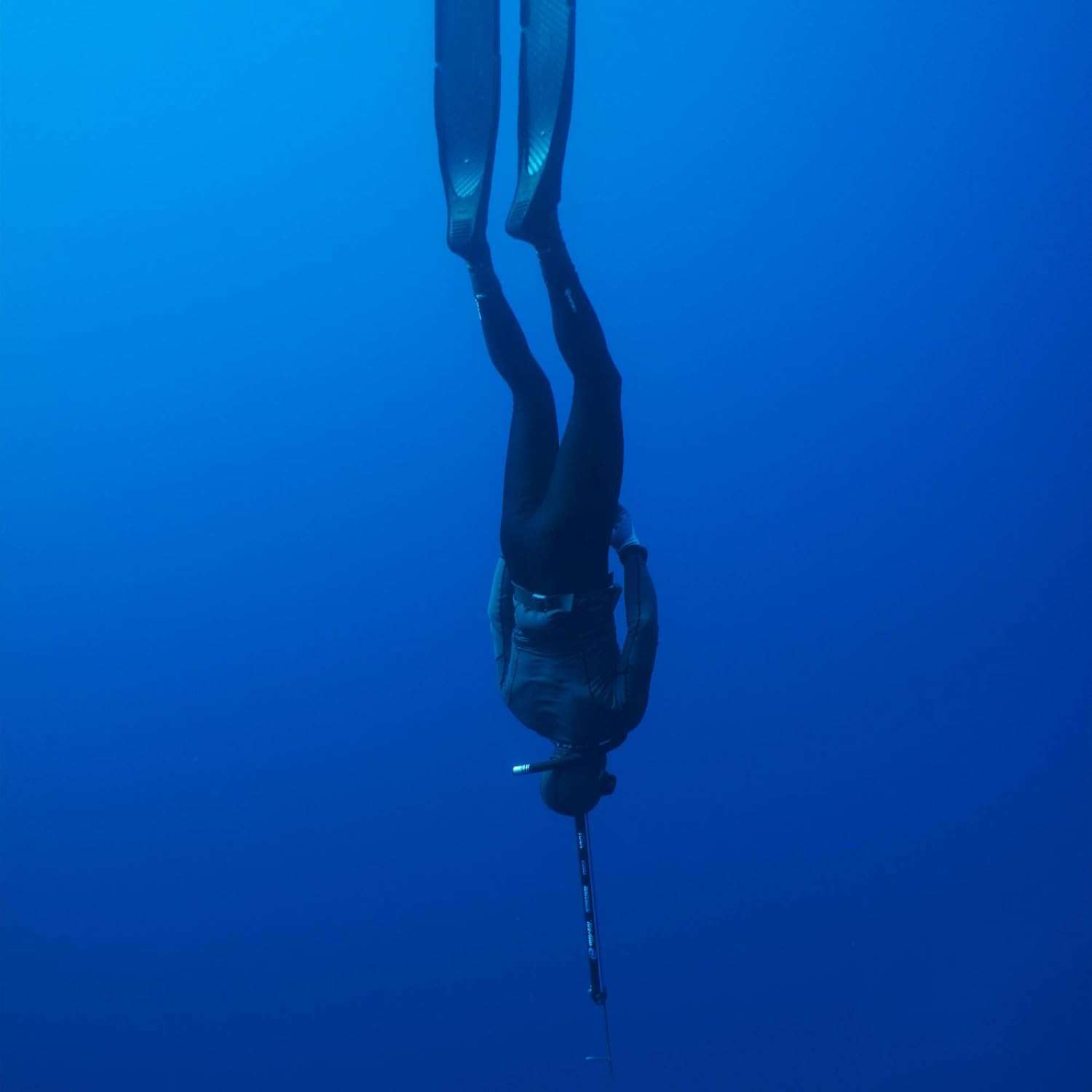 Series 1 Ski Case – Protective Travel Case for One Pair of Alpine Skis and Gear or Two Pairs of Nordic Skis and Gear - 4